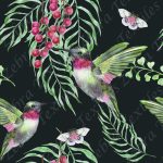 Colibris vert et fruit rouge fond gris