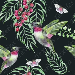 Colibris vert et fruit rouge fond gris