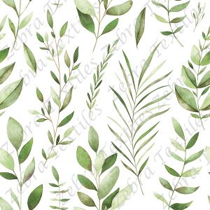 Feuillage vert fond blanc