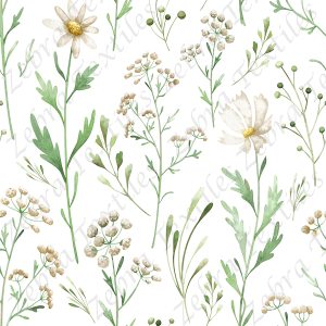 Fleur d'été aquarelle fond blanc