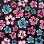 Hibiscus rose et bleu fond noir