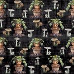 Mandrake et champignon fond noir