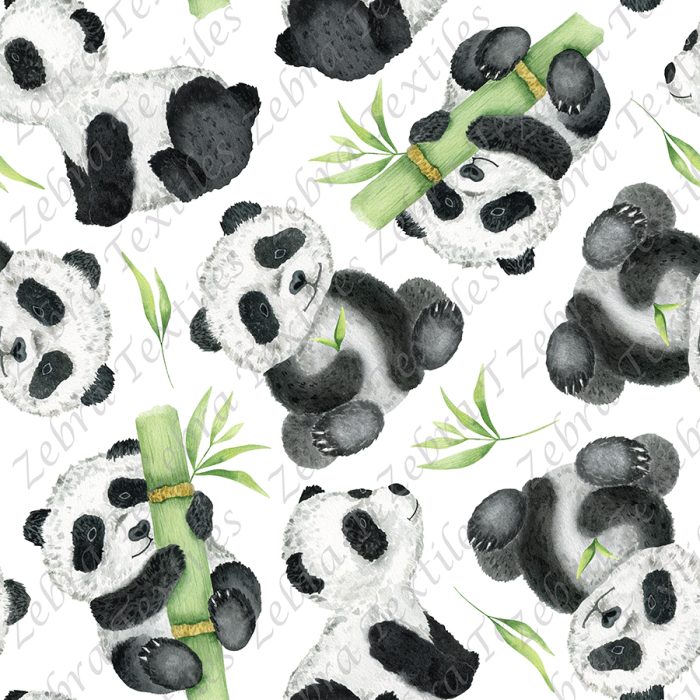 Panda et tige de bambou fond blanc