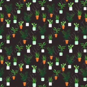 Plante verte variée fond gris foncé