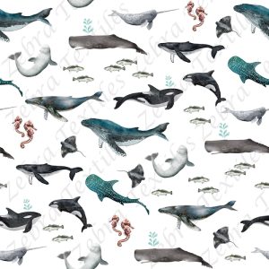 Animaux marins fond blanc