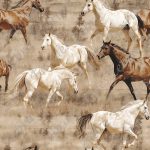Cheval blanc fond sable