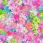 Fleur multicolore
