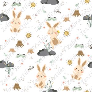 Lapin et soleil fond blanc