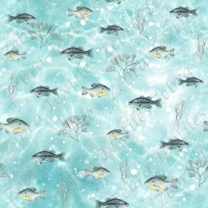 Poisson et algue fond eau