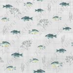 Poisson et algue fond gris