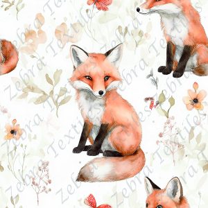 Renard roux assit fond blanc