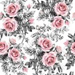 Rose rouge et feuille fond blanc