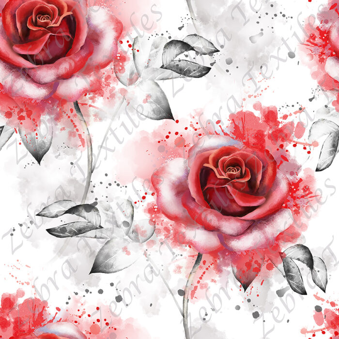 Rose rouge flamboyante fond blanc