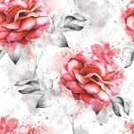 Rose rouge fond blanc