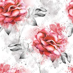 Rose rouge fond blanc