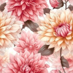 Dahlia rouge et jaune fond blanc