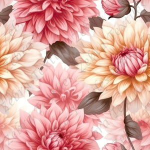 Dahlia rouge et jaune fond blanc