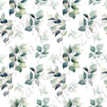 Feuillage vert fond blanc