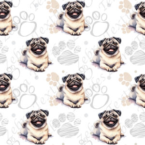 Pug couché fond patte