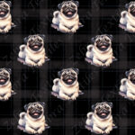 Pug couché fond plaid noir