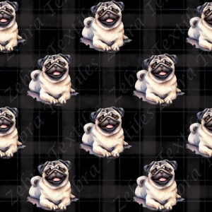 Pug couché fond plaid noir