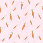 Carotte fond rose