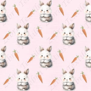 Lapin et carotte fond rose