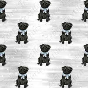 Pug noir et foulard bleu fond gris