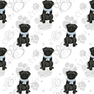 Pug noir et foulard bleu fond patte