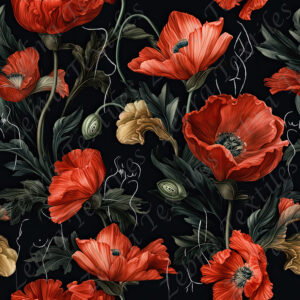Coquelicot sensuel fond noir