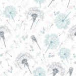 Dandelion élégant fond blanc