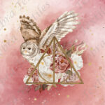 Hibou et relique fond rosé