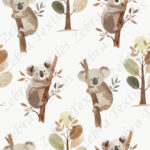 Koala fond crème
