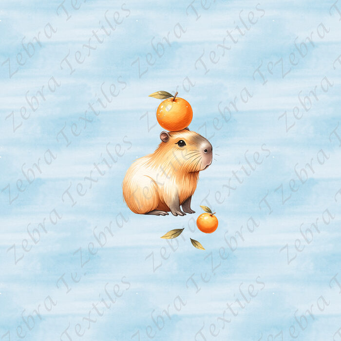 capybara et orange fond bleu ciel