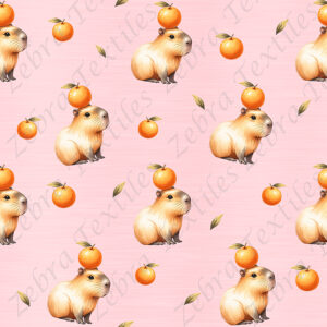 capybara et orange fond rose