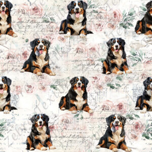 Bouvier bernois fond floral