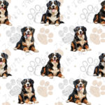 Bouvier bernois fond patte