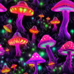 Champignon néon 5