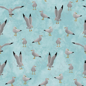 Mouette fond aqua