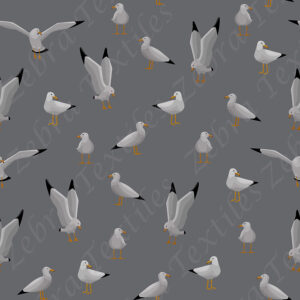 Mouette fond gris