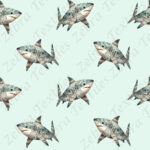 Requin boho fond aqua