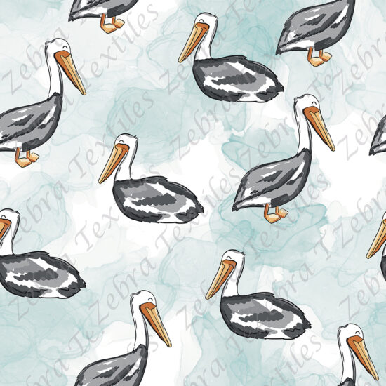 Pélican fond aqua