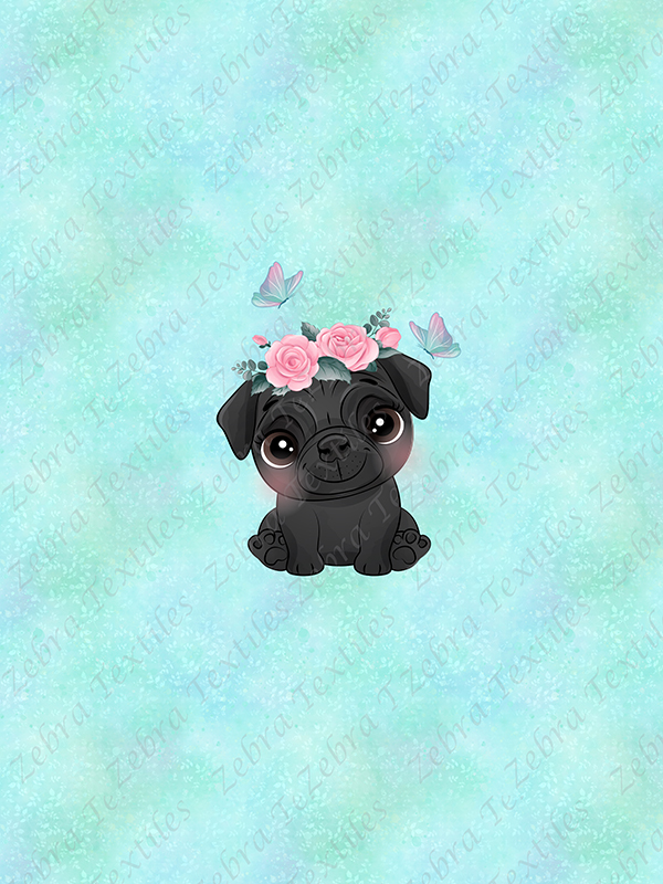 Pug noir et fleur rose fond aqua