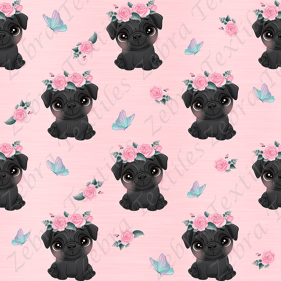 Pug noir et fleur rose fond rose