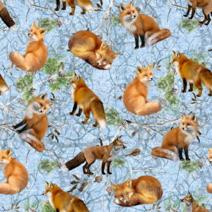 Renard roux fond camouflage bleu
