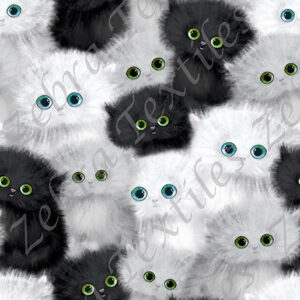 Chat noir et blanc