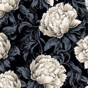 Pivoine blanche fond noir