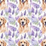 Golden et fleur mauve