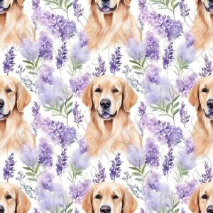 Golden et fleur mauve