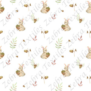 Lapin et noisette fond blanc